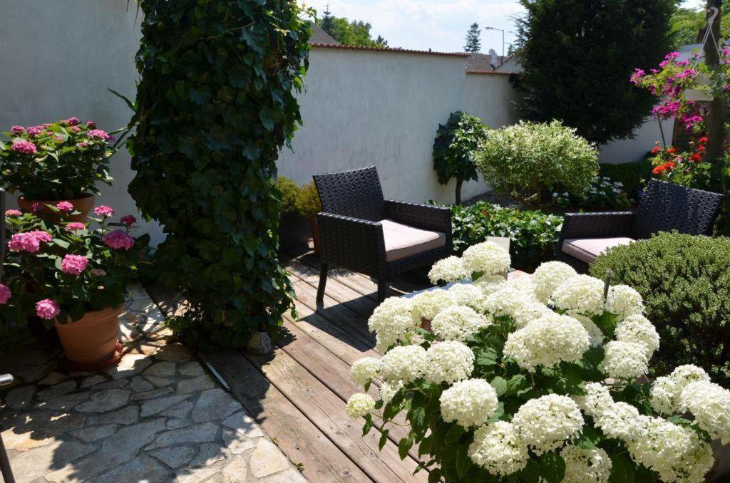 Gaestezimmer Klinger-Tongisch Apetlon Buitenkant foto