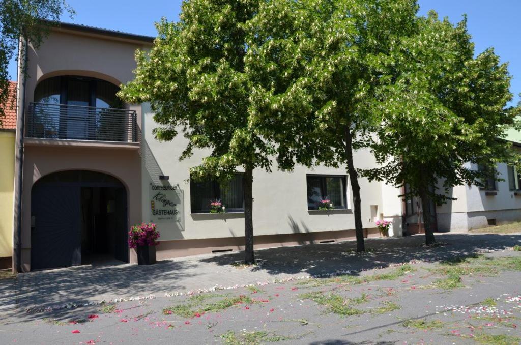 Gaestezimmer Klinger-Tongisch Apetlon Buitenkant foto